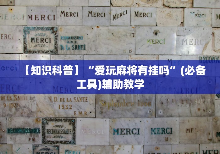 【知识科普】“爱玩麻将有挂吗”(必备工具)辅助教学