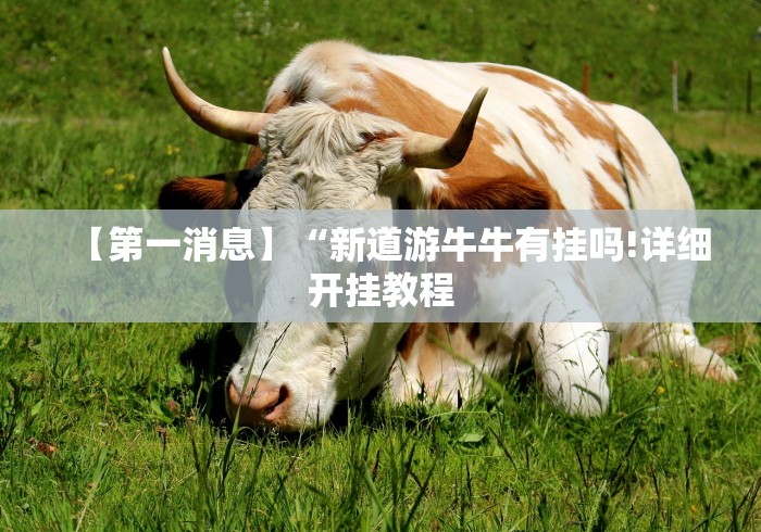 【第一消息】“新道游牛牛有挂吗!详细开挂教程