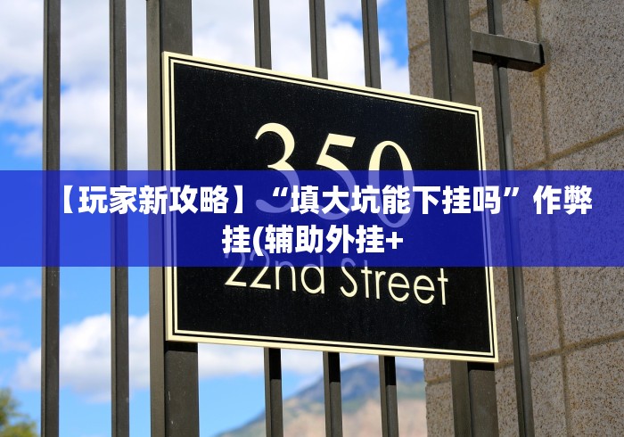 【玩家新攻略】“填大坑能下挂吗”作弊挂(辅助外挂+