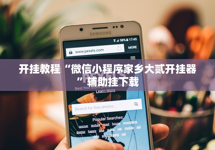 开挂教程“微信小程序家乡大贰开挂器”辅助挂下载