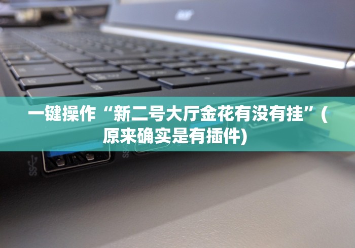 一键操作“新二号大厅金花有没有挂”(原来确实是有插件) 