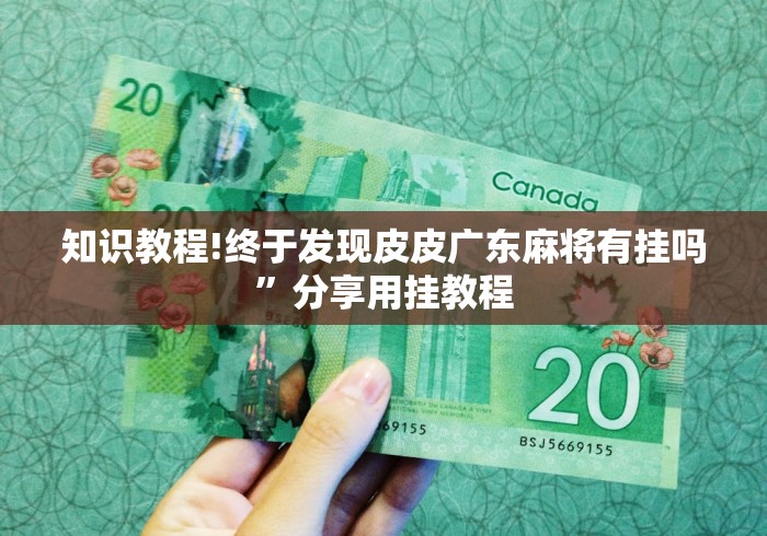 知识教程!终于发现皮皮广东麻将有挂吗”分享用挂教程