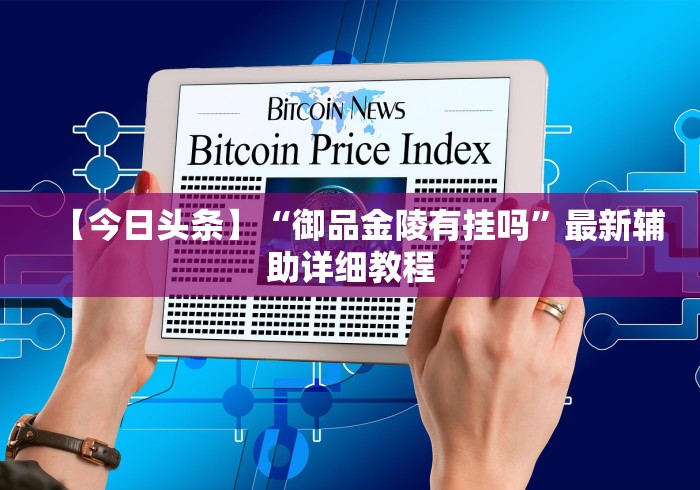 【今日头条】“御品金陵有挂吗”最新辅助详细教程