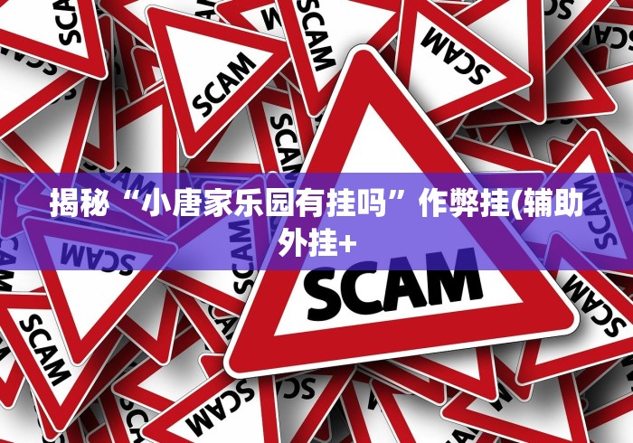 揭秘“小唐家乐园有挂吗”作弊挂(辅助外挂+