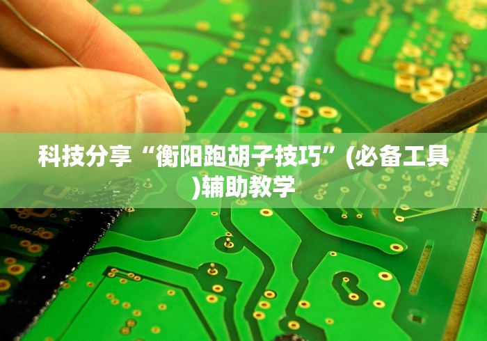 科技分享“衡阳跑胡子技巧”(必备工具)辅助教学