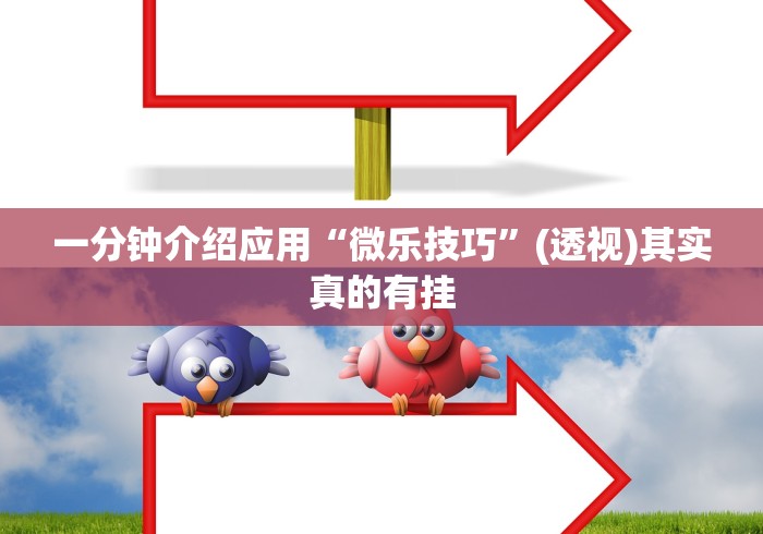 一分钟介绍应用“微乐技巧”(透视)其实真的有挂