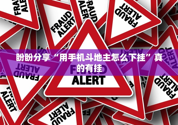 盼盼分享“用手机斗地主怎么下挂”真的有挂