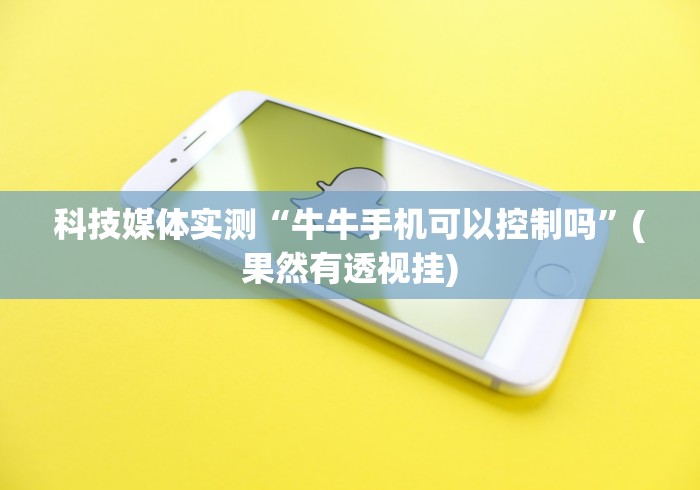科技媒体实测“牛牛手机可以控制吗”(果然有透视挂)