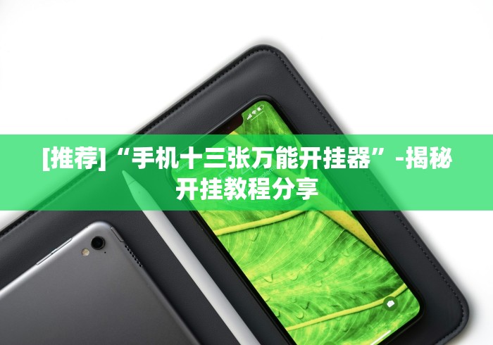[推荐]“手机十三张万能开挂器”-揭秘开挂教程分享