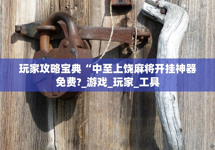 玩家攻略宝典“中至上饶麻将开挂神器免费?_游戏_玩家_工具