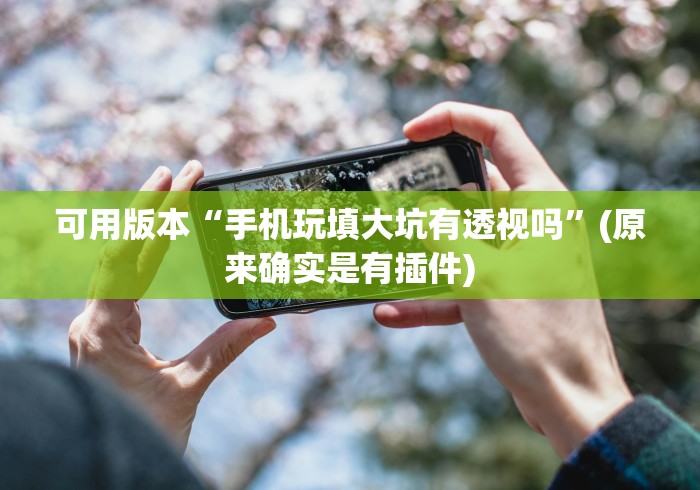 可用版本“手机玩填大坑有透视吗”(原来确实是有插件)