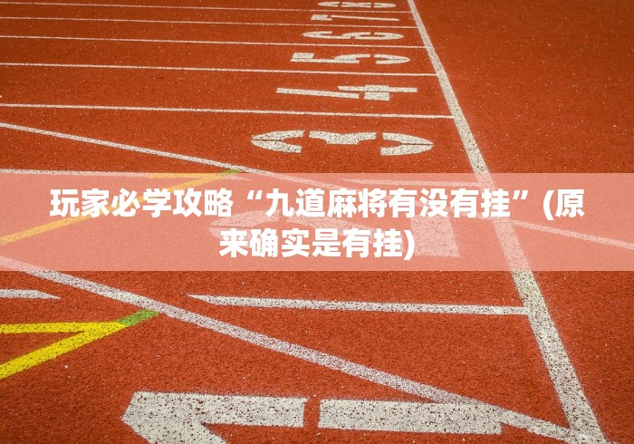 玩家必学攻略“九道麻将有没有挂”(原来确实是有挂)