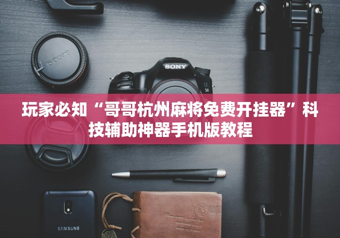 玩家必知“哥哥杭州麻将免费开挂器”科技辅助神器手机版教程