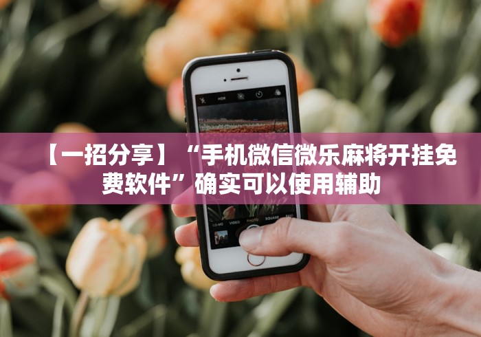 【一招分享】“手机微信微乐麻将开挂免费软件”确实可以使用辅助