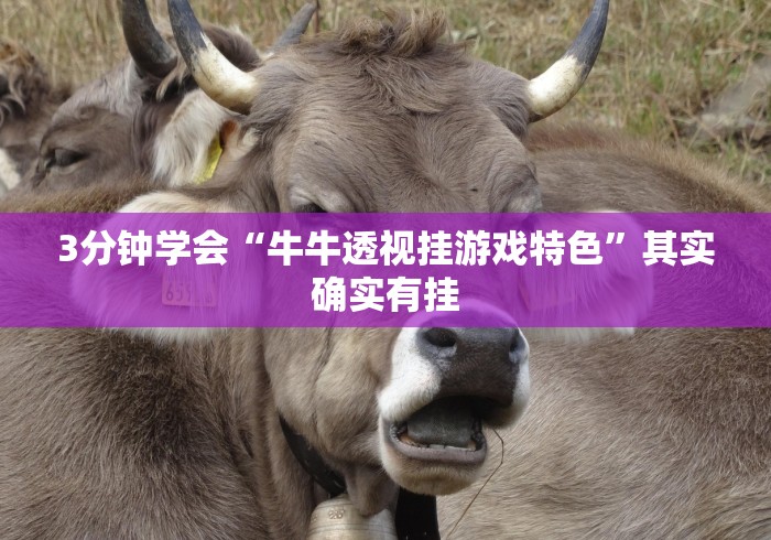3分钟学会“牛牛透视挂游戏特色”其实确实有挂