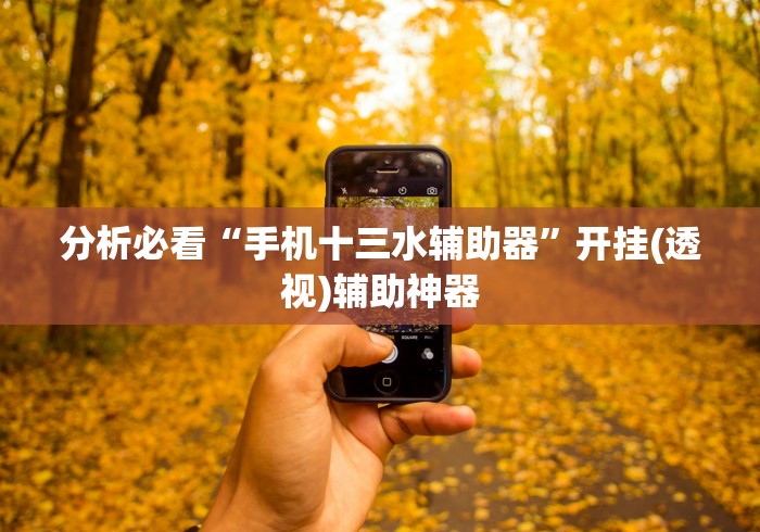分析必看“手机十三水辅助器”开挂(透视)辅助神器