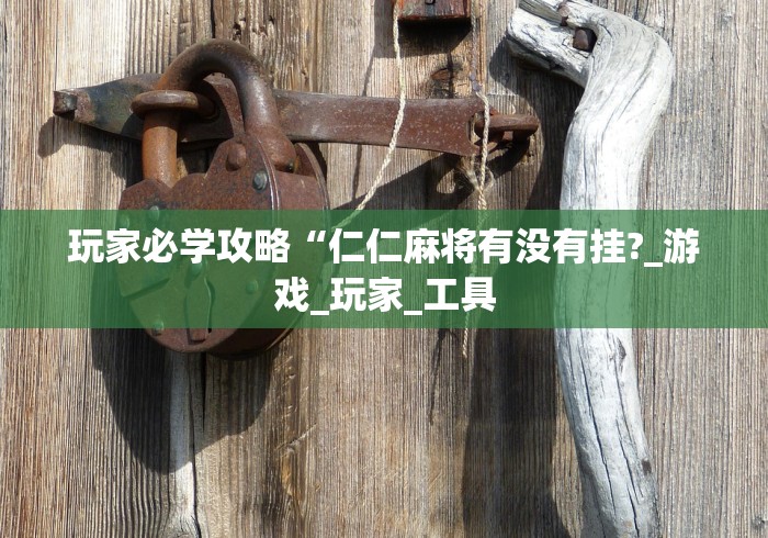 玩家必学攻略“仁仁麻将有没有挂?_游戏_玩家_工具