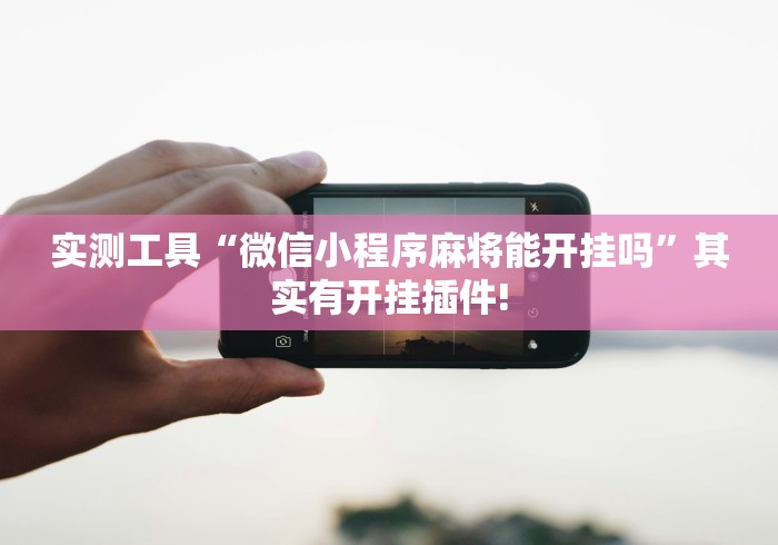 实测工具“微信小程序麻将能开挂吗”其实有开挂插件!