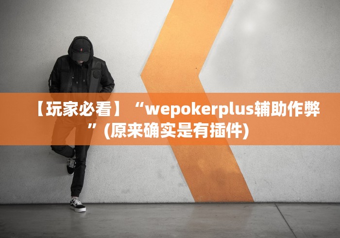 【玩家必看】“wepokerplus辅助作弊”(原来确实是有插件) 