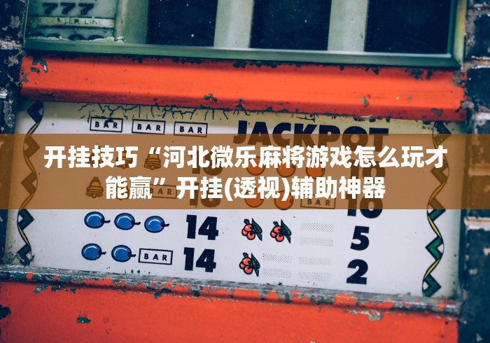 开挂技巧“河北微乐麻将游戏怎么玩才能赢”开挂(透视)辅助神器