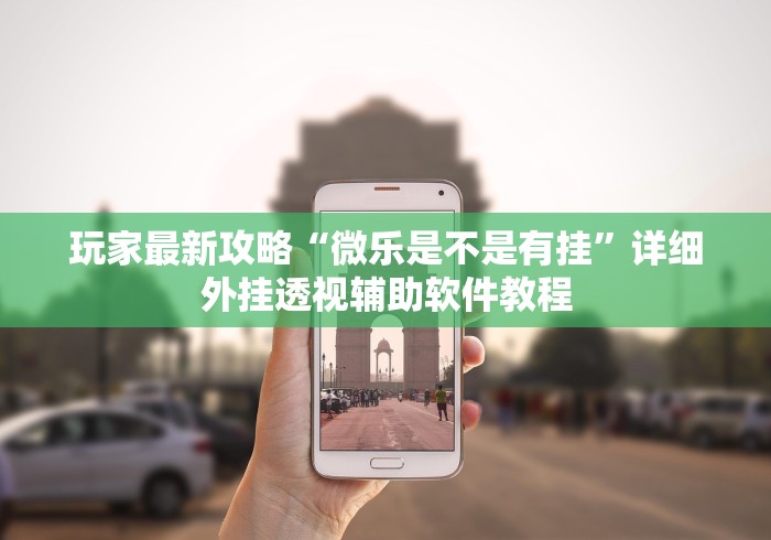 玩家最新攻略“微乐是不是有挂”详细外挂透视辅助软件教程