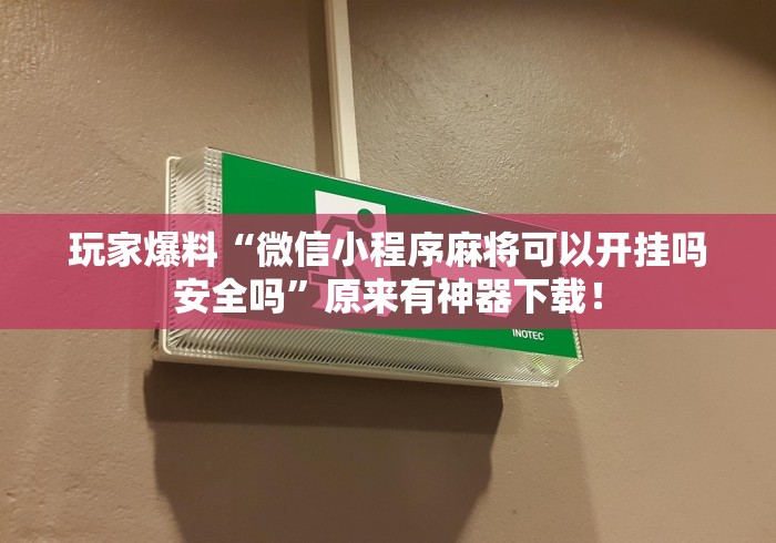 玩家爆料“微信小程序麻将可以开挂吗安全吗”原来有神器下载！