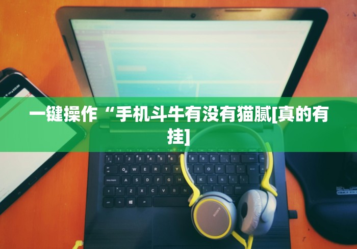 一键操作“手机斗牛有没有猫腻[真的有挂]