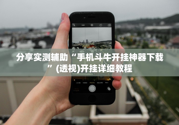 分享实测辅助“手机斗牛开挂神器下载”(透视)开挂详细教程
