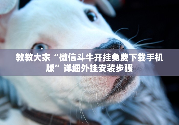 教教大家“微信斗牛开挂免费下载手机版”详细外挂安装步骤