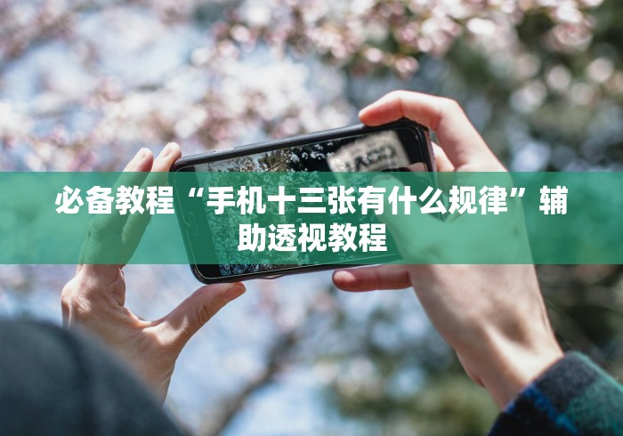 必备教程“手机十三张有什么规律”辅助透视教程