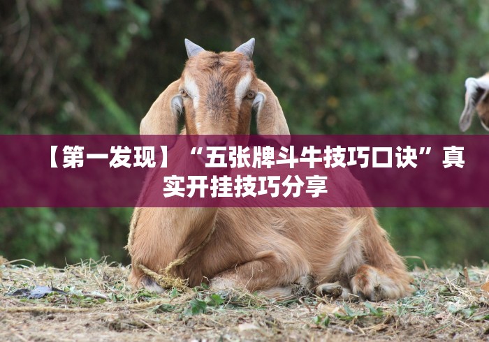 【第一发现】“五张牌斗牛技巧口诀”真实开挂技巧分享