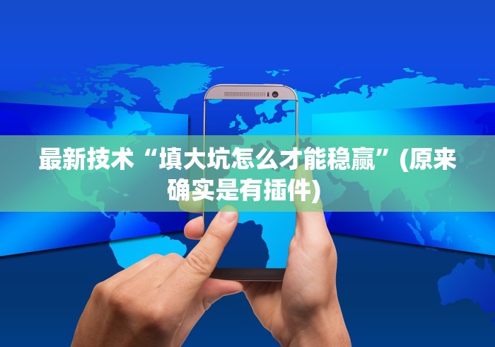 最新技术“填大坑怎么才能稳赢”(原来确实是有插件) 