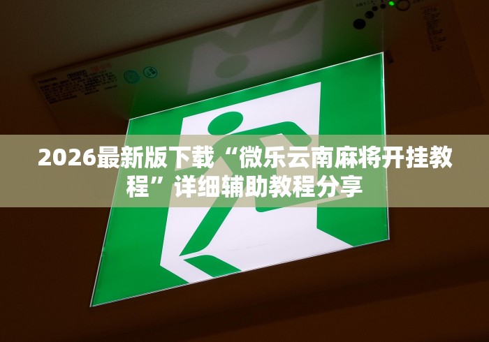 2026最新版下载“微乐云南麻将开挂教程”详细辅助教程分享