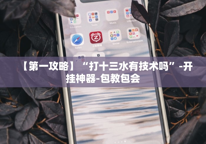 【第一攻略】“打十三水有技术吗”-开挂神器-包教包会