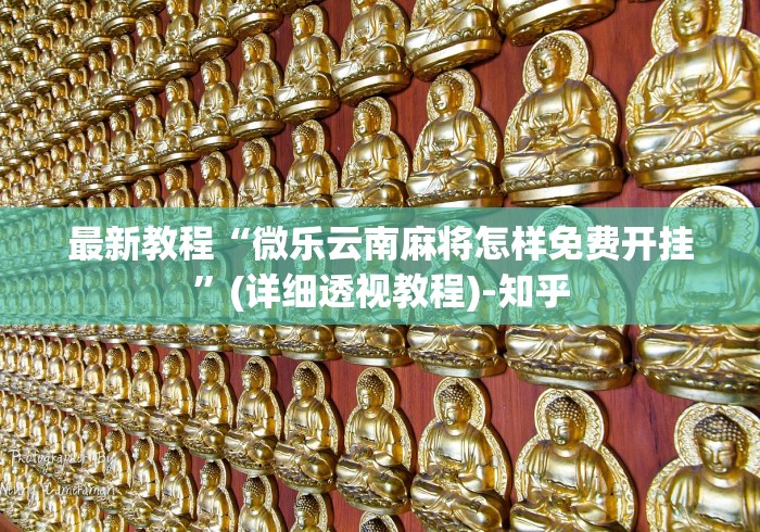 最新教程“微乐云南麻将怎样免费开挂”(详细透视教程)-知乎