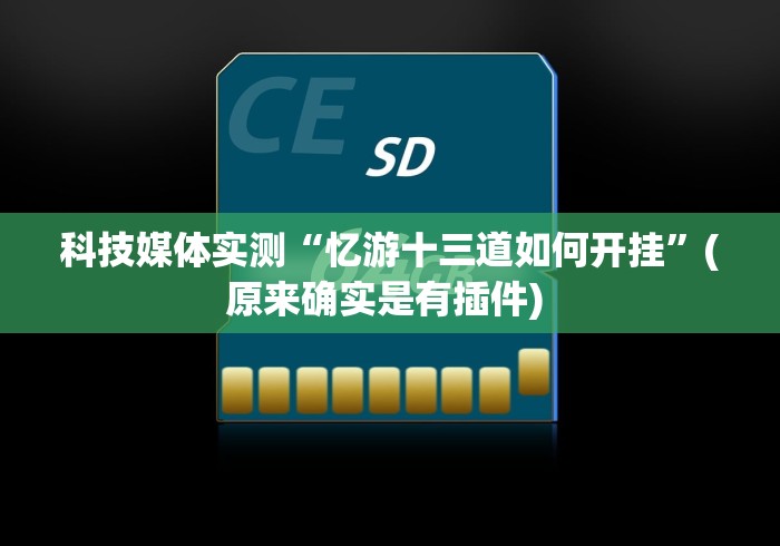 科技媒体实测“忆游十三道如何开挂”(原来确实是有插件) 
