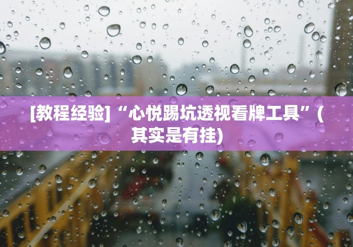 [教程经验]“心悦踢坑透视看牌工具”(其实是有挂)