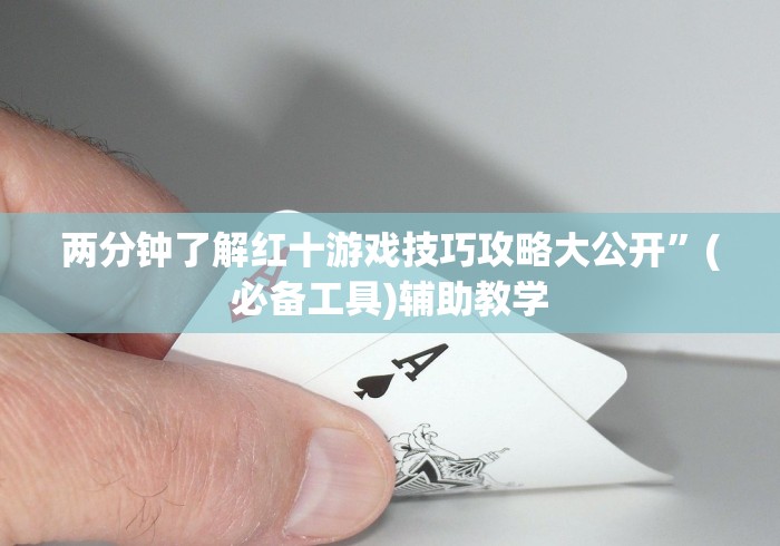 两分钟了解红十游戏技巧攻略大公开”(必备工具)辅助教学