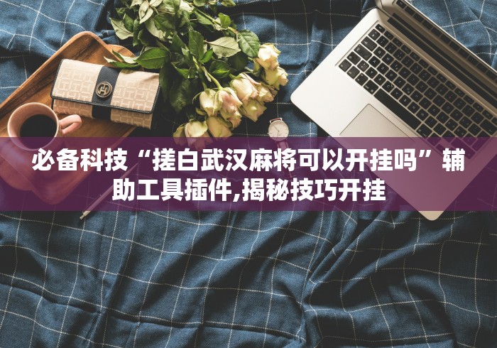 必备科技“搓白武汉麻将可以开挂吗”辅助工具插件,揭秘技巧开挂