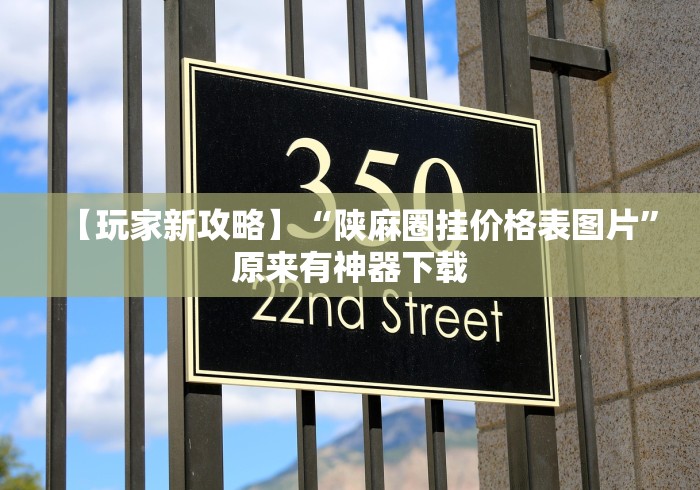 【玩家新攻略】“陕麻圈挂价格表图片”原来有神器下载