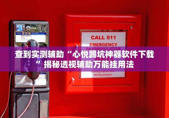 查到实测辅助“心悦踢坑神器软件下载”揭秘透视辅助万能挂用法