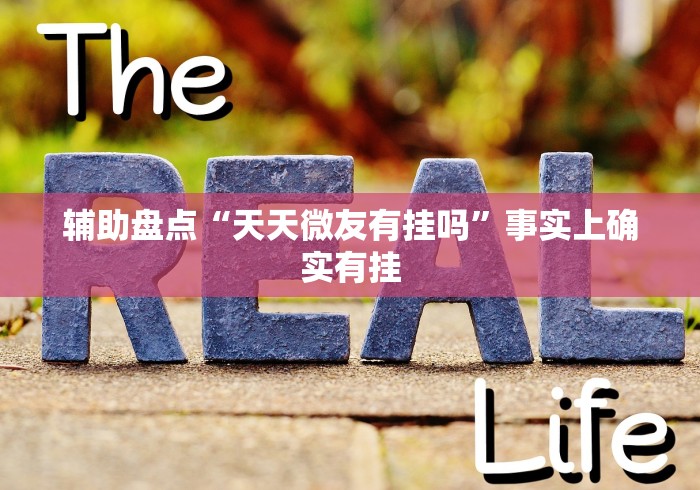 辅助盘点“天天微友有挂吗”事实上确实有挂