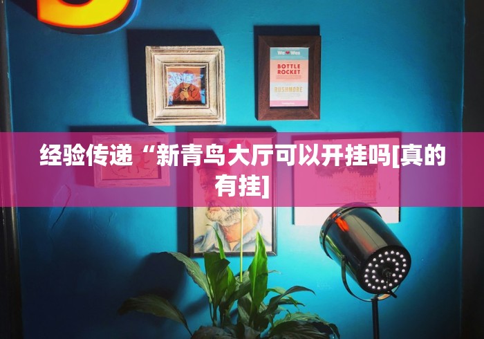 经验传递“新青鸟大厅可以开挂吗[真的有挂]