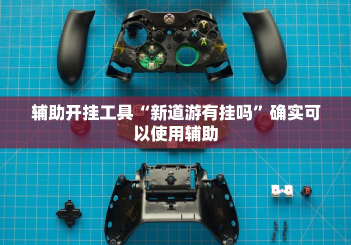 辅助开挂工具“新道游有挂吗”确实可以使用辅助