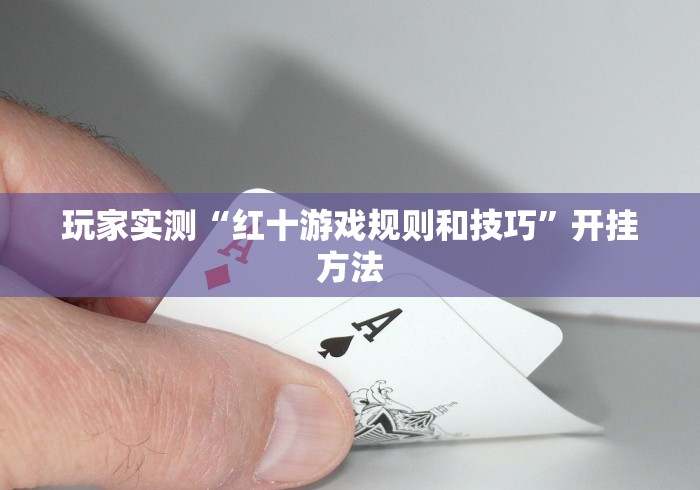 玩家实测“红十游戏规则和技巧”开挂方法