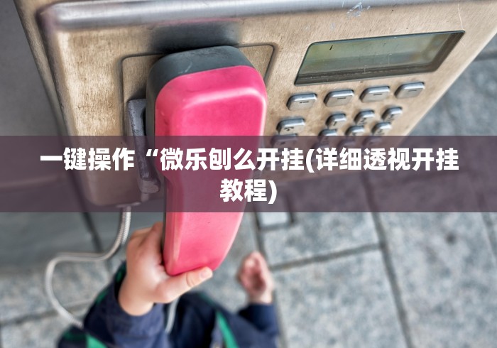 一键操作“微乐刨么开挂(详细透视开挂教程)