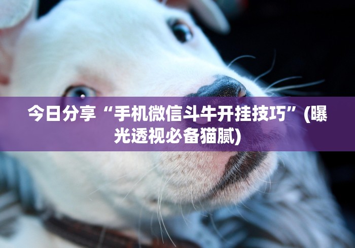 今日分享“手机微信斗牛开挂技巧	”(曝光透视必备猫腻)