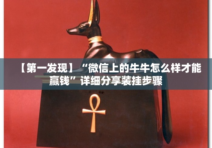 【第一发现】“微信上的牛牛怎么样才能赢钱	”详细分享装挂步骤
