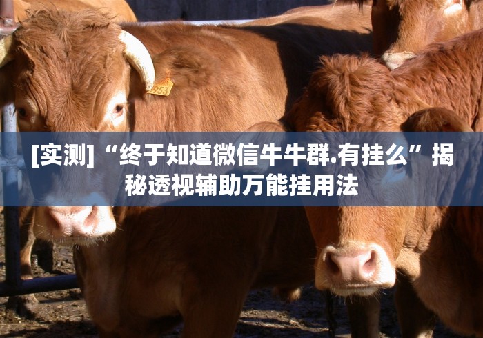 [实测]“终于知道微信牛牛群.有挂么”揭秘透视辅助万能挂用法