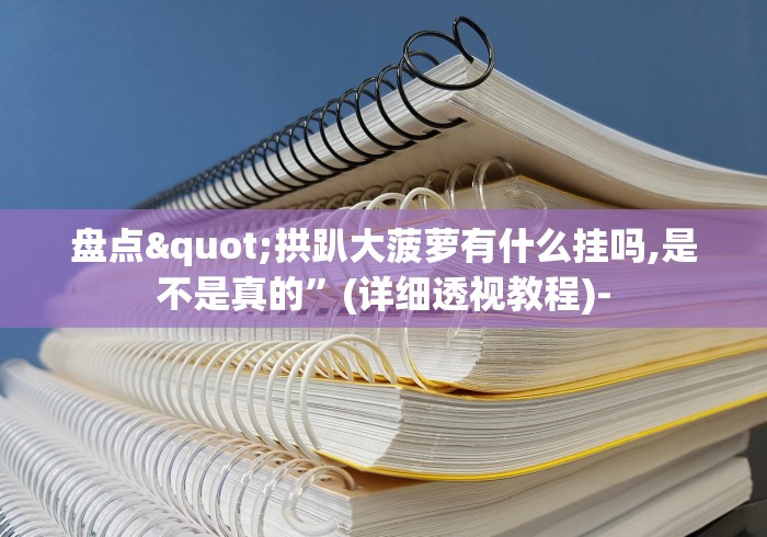 盘点"拱趴大菠萝有什么挂吗,是不是真的”(详细透视教程)-
